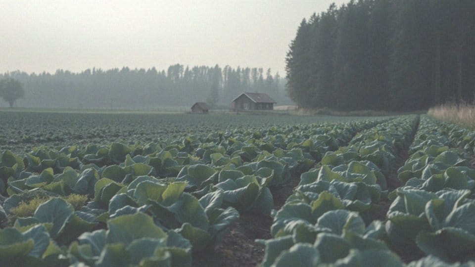 Jak działają ultradźwiękowe odstraszacze dzików?