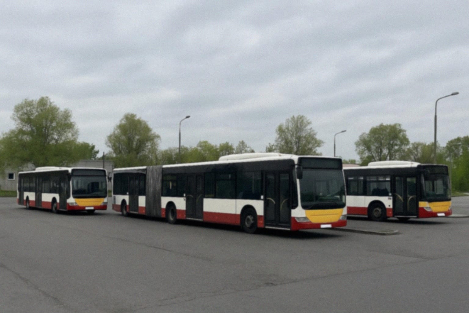 Darmowe przejazdy i dodatkowe kursy autobusów w Skarżysku-Kamiennej na Wszystkich Świętych