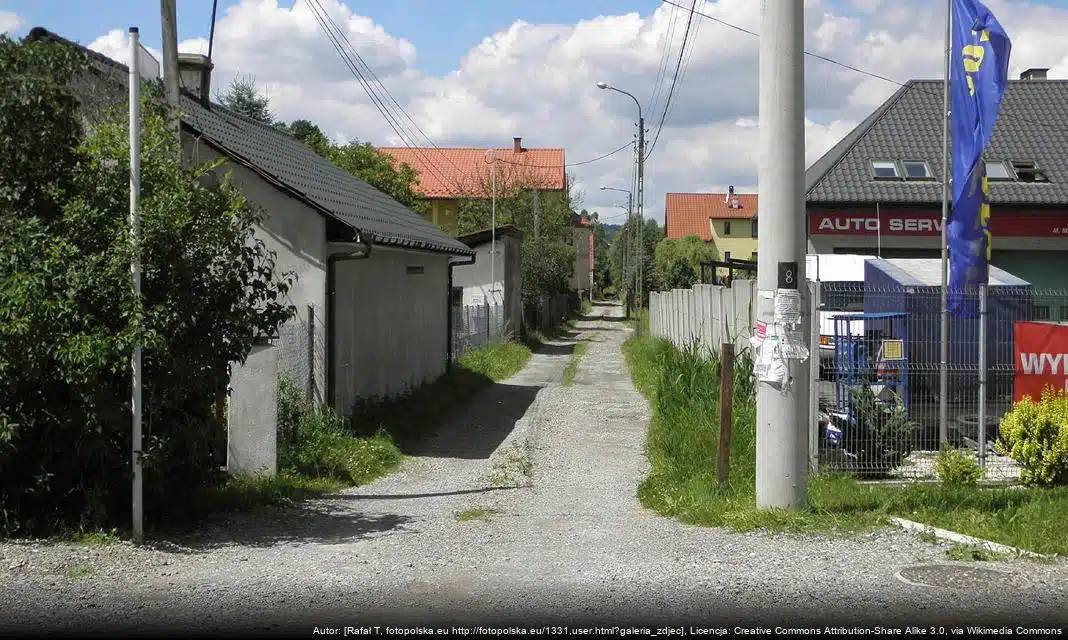 Warsztaty edukacyjne na temat zmian klimatu w Skarżysku-Kamiennej