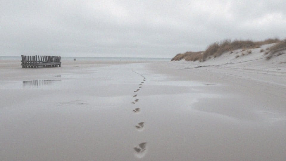 Zimą nad morzem – 10 powodów, dla których warto tam pojechać